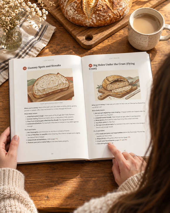Visual sourdough troubleshooting guide